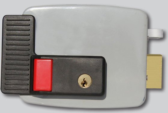 Buy Electronic Control Rim Door Lock 35 - 50mm Door Simple Installation Rim Cylinder online manufacture