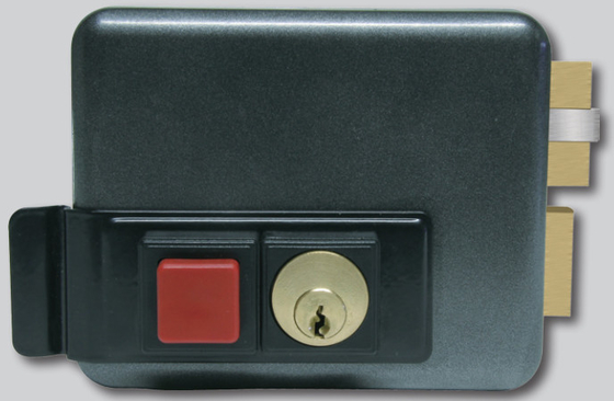 Buy Rim Door Lock Residential Doors Rim Cylinder Lock for Surface Mounting Electronic Control online manufacture
