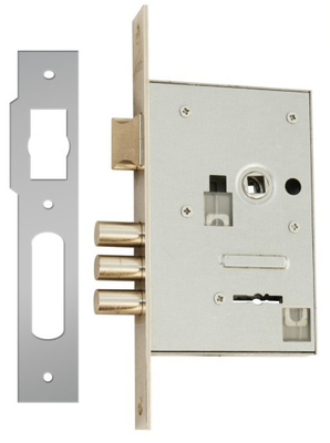 Mortise Key Lock Deadlatch Key Control the Key to Your Property's Security Guidelines