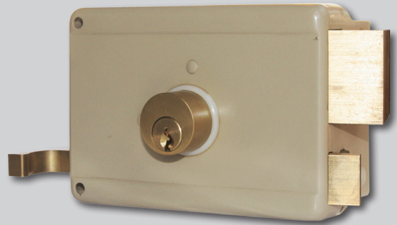 Brass Or Steel Dead Bolt Material Rim Door Lock Standard Keyway for Added Strength