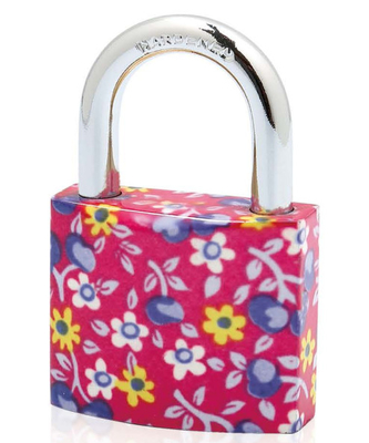 Painted Plating Padlock High Security Padlock Pin Tumbler Structure All Sizes