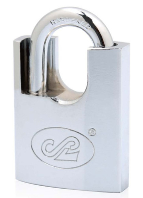 Shackle Protected Computer Padlock All Sizes High Security Padlock Pin Tumbler